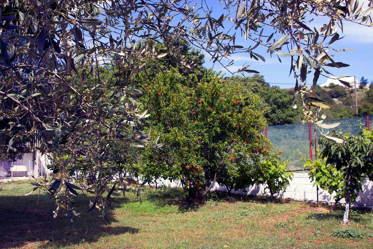 Pomegranate Tree House - Meteora Guest House Kalambaka Bagian luar foto