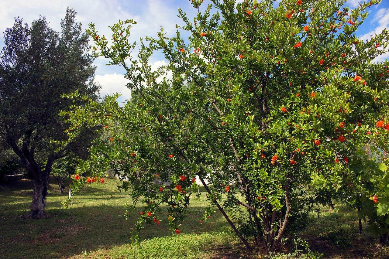 Pomegranate Tree House - Meteora Guest House Kalambaka Bagian luar foto